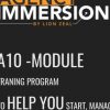 Lion Zeal E28093 Agency Immersion 2 - eSy[GB]