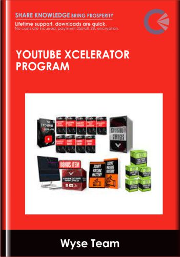 YouTube Xcelerator Program - Wyse Team