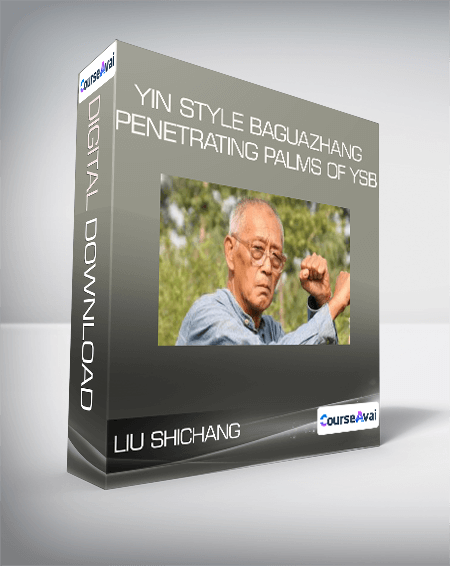 Liu Shichang - Yin style Baguazhang - Penetrating Palms of YSB