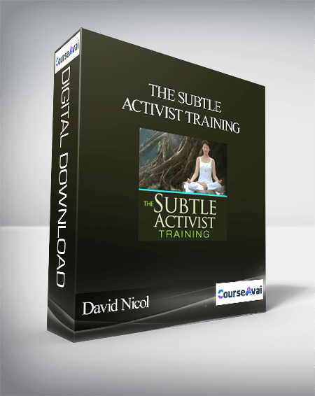 The Subtle Activist Training With David Nicol