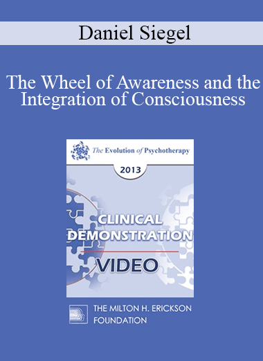 EP13 Clinical Demonstration 02 - The Wheel of Awareness and the Integration of Consciousness (Live) - Daniel Siegel