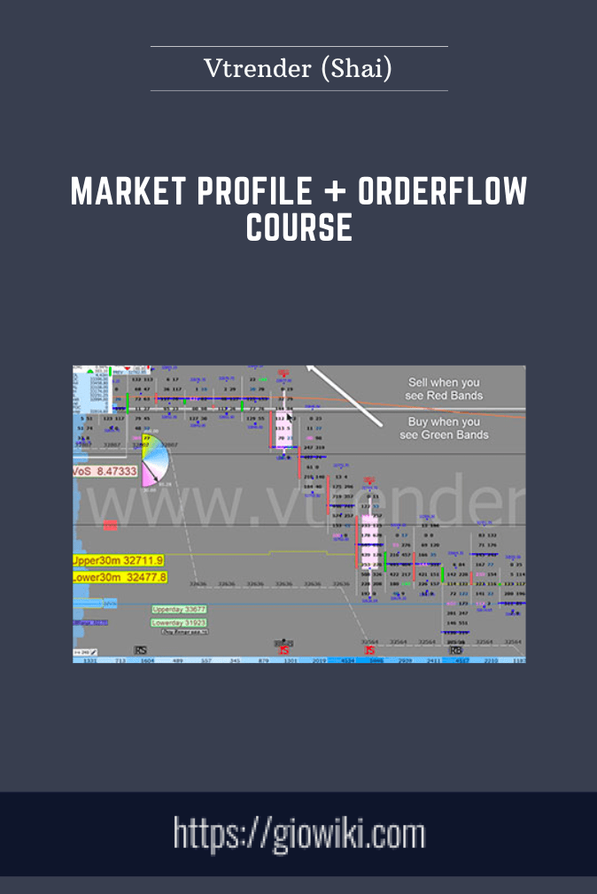 Market Profile + Orderflow Course  -  Vtrender (Shai)