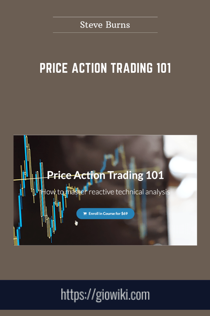 Price Action Trading 101  -  Steve Burns