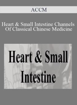 ACCM Heart Small Intestine Channels Of Classical Chinese Medicine 250x343 1 - eSy[GB]