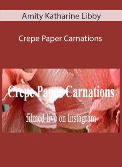 Amity Katharine Libby Crepe Paper Carnations 250x343 1 - eSy[GB]