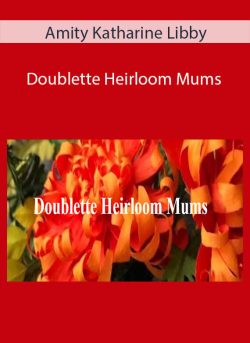 Amity Katharine Libby Doublette Heirloom Mums 250x343 1 - eSy[GB]