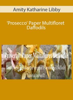 Amity Katharine Libby Prosecco Paper Multifloret Daffodils 250x343 1 - eSy[GB]