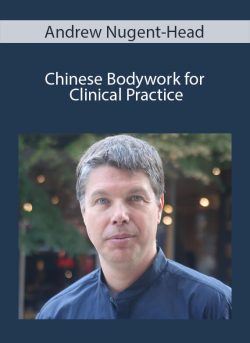 Andrew Nugent Head Chinese Bodywork for Clinical Practice 1 250x343 1 - eSy[GB]