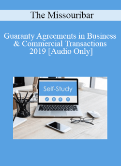 Audio Only Guaranty Agreements in Business Commercial Transactions 2019 250x343 1 - eSy[GB]