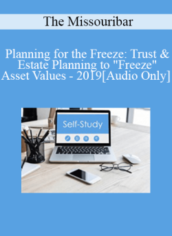 Audio Only Planning for the Freeze Trust Estate Planning to Freeze Asset Values 2019 250x343 1 - eSy[GB]