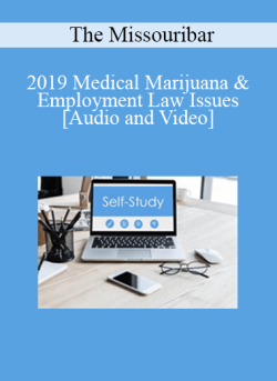 Audio and Video 2019 Medical Marijuana Employment Law Issues 250x343 1 - eSy[GB]