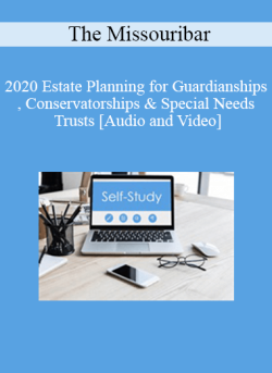 Audio and Video 2020 Estate Planning for Guardianships Conservatorships Special Needs Trusts 250x343 1 - eSy[GB]