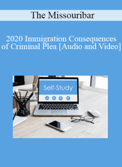 Audio and Video 2020 Immigration Consequences of Criminal Plea 250x343 1 - eSy[GB]