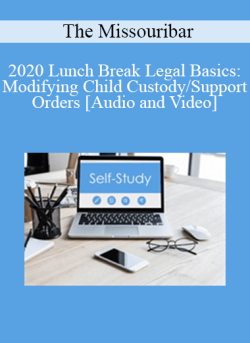 Audio and Video 2020 Lunch Break Legal Basics Modifying Child CustodySupport Orders 250x343 1 - eSy[GB]