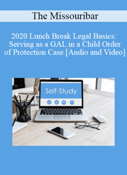 Audio and Video 2020 Lunch Break Legal Basics Serving as a GAL in a Child Order of Protection Case 250x343 1 - eSy[GB]