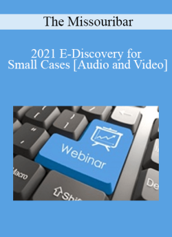 Audio and Video 2021 E Discovery for Small Cases 250x343 1 - eSy[GB]