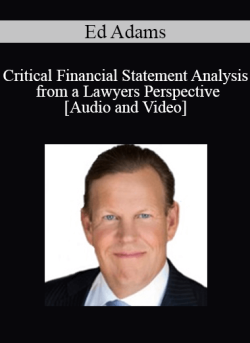 Audio and Video Critical Financial Statement Analysis from a Lawyers Perspective with Ed Adams 250x343 1 - eSy[GB]