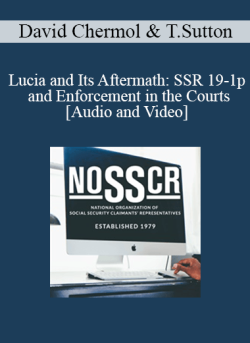 Audio and Video David Chermol Thomas Sutton Lucia and Its Aftermath SSR 19 1p and Enforcement in the Courts 250x343 1 - eSy[GB]