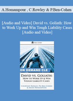 Audio and Video David vs. Goliath How to Work Up and Win Tough Liability Cases 250x343 1 - eSy[GB]