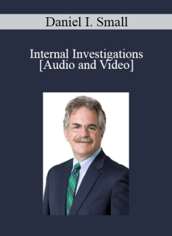 Audio and Video Internal Investigations 250x343 1 - eSy[GB]