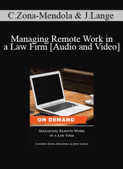 Audio and Video Managing Remote Work in a Law Firm 250x343 1 - eSy[GB]