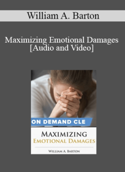 Audio and Video Maximizing Emotional Damages 250x343 1 - eSy[GB]