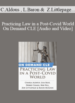 Audio and Video Practicing Law in a Post Covid World On Demand CLE 250x343 1 - eSy[GB]