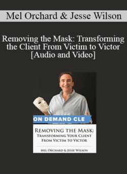 Audio and Video Removing the Mask Transforming the Client From Victim to Victor 250x343 1 - eSy[GB]