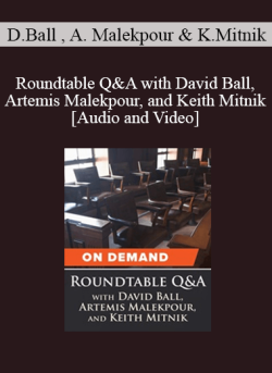 Audio and Video Roundtable QA with David Ball Artemis Malekpour and Keith Mitnik 250x343 1 - eSy[GB]