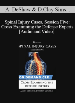 Audio and Video Spinal Injury Cases Session Five Cross Examining the Defense Experts 250x343 1 - eSy[GB]