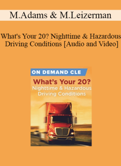 Audio and Video Whats Your 20 Nighttime Hazardous Driving Conditions 250x343 1 - eSy[GB]