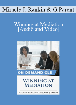 Audio and Video Winning at Mediation 250x343 1 - eSy[GB]