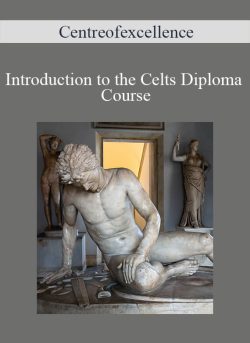 Centreofexcellence Introduction to the Celts Diploma Course 250x343 1 - eSy[GB]