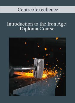 Centreofexcellence Introduction to the Iron Age Diploma Course 250x343 1 - eSy[GB]