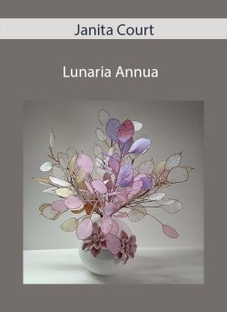 Janita Court Lunaria Annua 250x343 1 - eSy[GB]