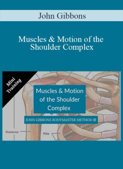 John Gibbons Muscles Motion of the Shoulder Complex 250x343 1 - eSy[GB]