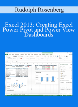 Rudolph Rosenberg Excel 2013 Creating Excel Power Pivot and Power View Dashboards 250x343 1 - eSy[GB]