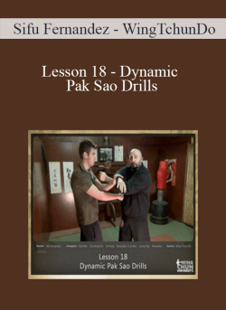 Sifu Fernandez WingTchunDo Lesson 18 Dynamic Pak Sao Drills 250x343 1 - eSy[GB]