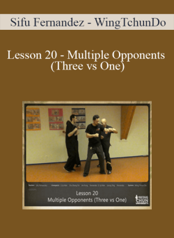 Sifu Fernandez WingTchunDo Lesson 20 Multiple Opponents Three vs One 250x343 1 - eSy[GB]