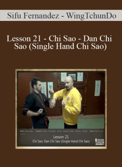 Sifu Fernandez WingTchunDo Lesson 21 Chi Sao Dan Chi Sao Single Hand Chi Sao 250x343 1 - eSy[GB]