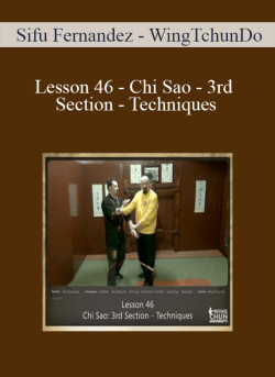 Sifu Fernandez WingTchunDo Lesson 46 Chi Sao 3rd Section Techniques 250x343 1 - eSy[GB]