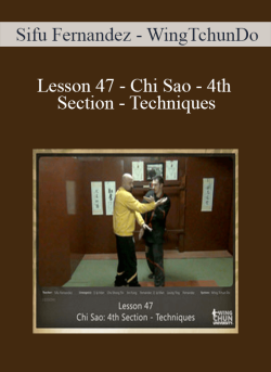 Sifu Fernandez WingTchunDo Lesson 47 Chi Sao 4th Section Techniques 250x343 1 - eSy[GB]