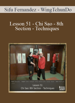 Sifu Fernandez WingTchunDo Lesson 51 Chi Sao 8th Section Techniques 250x343 1 - eSy[GB]