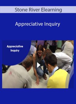 Stone River Elearning Appreciative Inquiry 250x343 1 - eSy[GB]