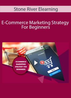 Stone River Elearning E Commerce Marketing Strategy For Beginners 250x343 1 - eSy[GB]