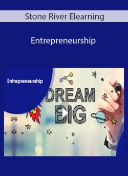 Stone River Elearning Entrepreneurship 250x343 1 - eSy[GB]