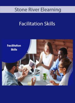 Stone River Elearning Facilitation Skills 250x343 1 - eSy[GB]