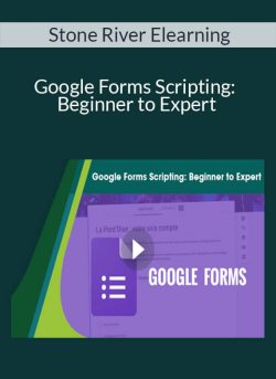 Stone River Elearning Google Forms Scripting Beginner to Expert 250x343 1 - eSy[GB]