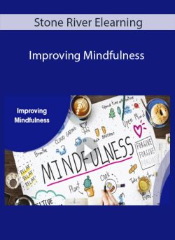 Stone River Elearning Improving Mindfulness 250x343 1 - eSy[GB]