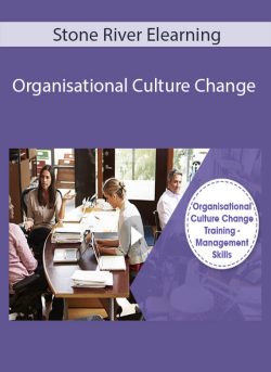 Stone River Elearning Organisational Culture Change 250x343 1 - eSy[GB]